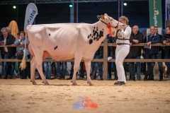 20241116-_DSC5824