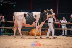 20241116-_DSC5834