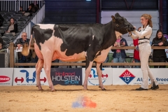20241116-_DSC5835