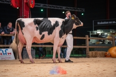 20241116-_DSC5836