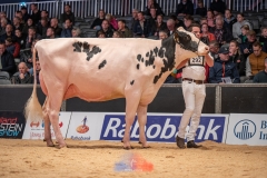 20241116-_DSC5840