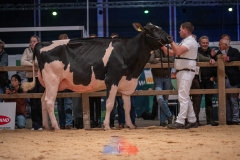 20241116-_DSC5842