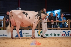 20241116-_DSC5846