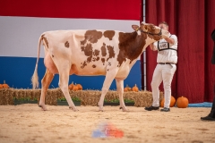 20241116-_DSC5857