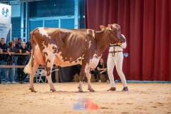 20241116-_DSC5858