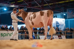 20241116-_DSC5881