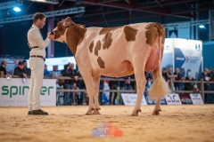 20241116-_DSC5886