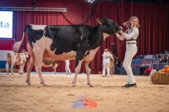 20241116-_DSC5892