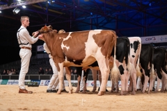 Young Breeders 2024