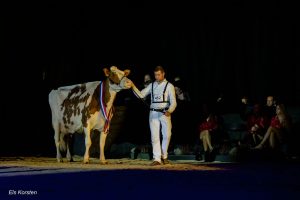 Livestream terugkijken Roodbont & Zwartbont Holland Holstein sHow 2022