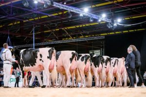 Juryleden Holland Holstein sHow 2023 zijn bekend